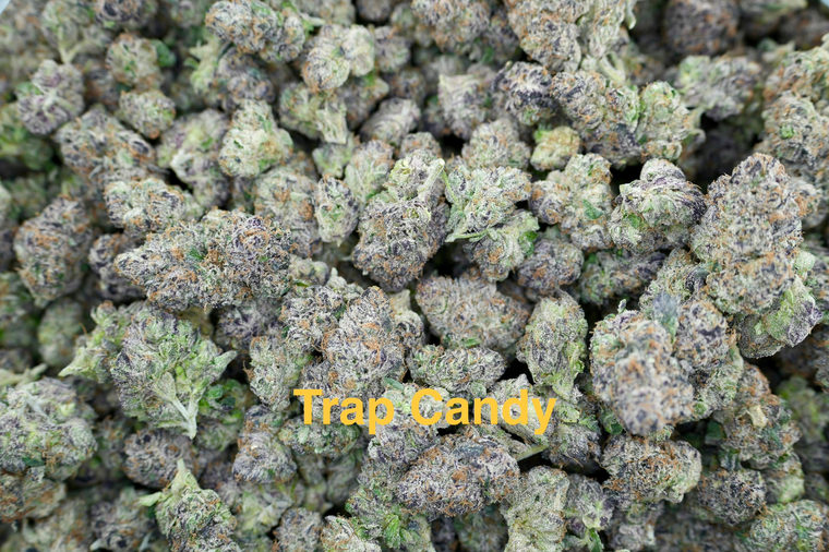 Trap Candy
