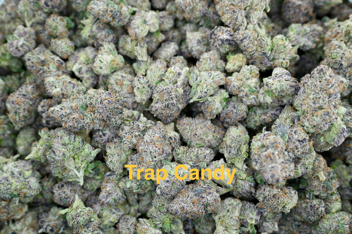 Trap Candy