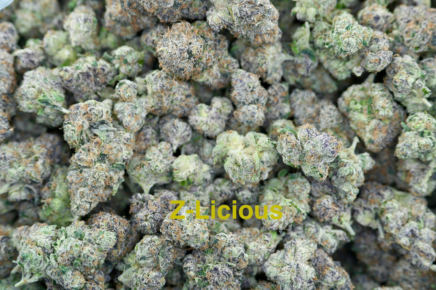 Z-Licious